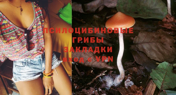 прущий лед Алексеевка