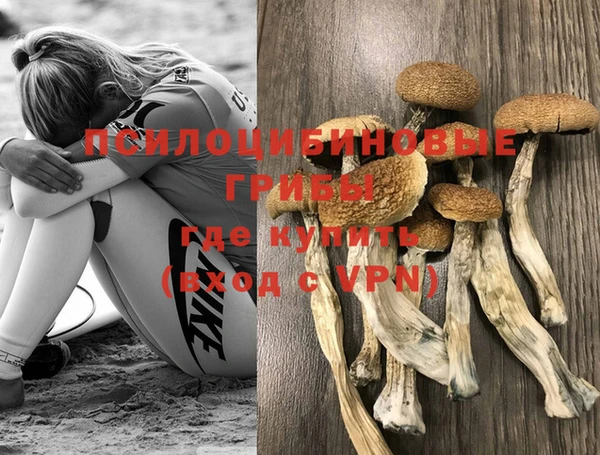 прущий лед Алексеевка