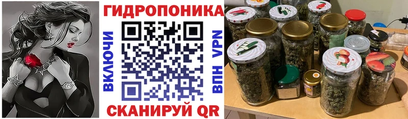 Марихуана ГИДРОПОН  Беломорск 